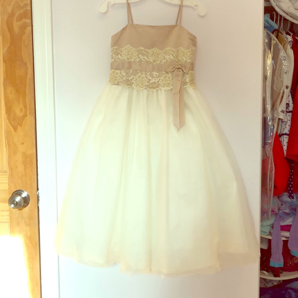 David’s Bridal Flower Girl Lace and Tule Dress